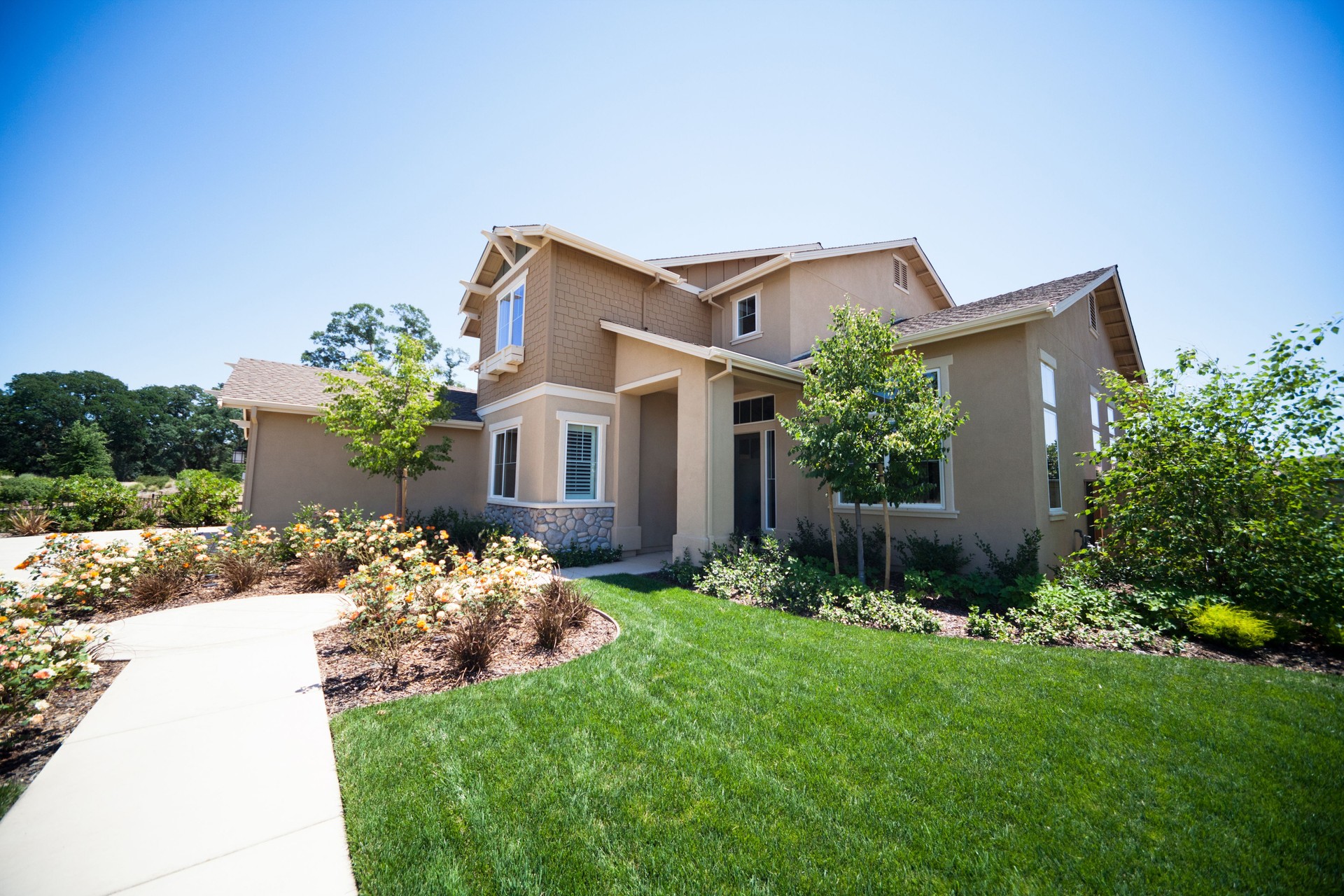New American Suburb House